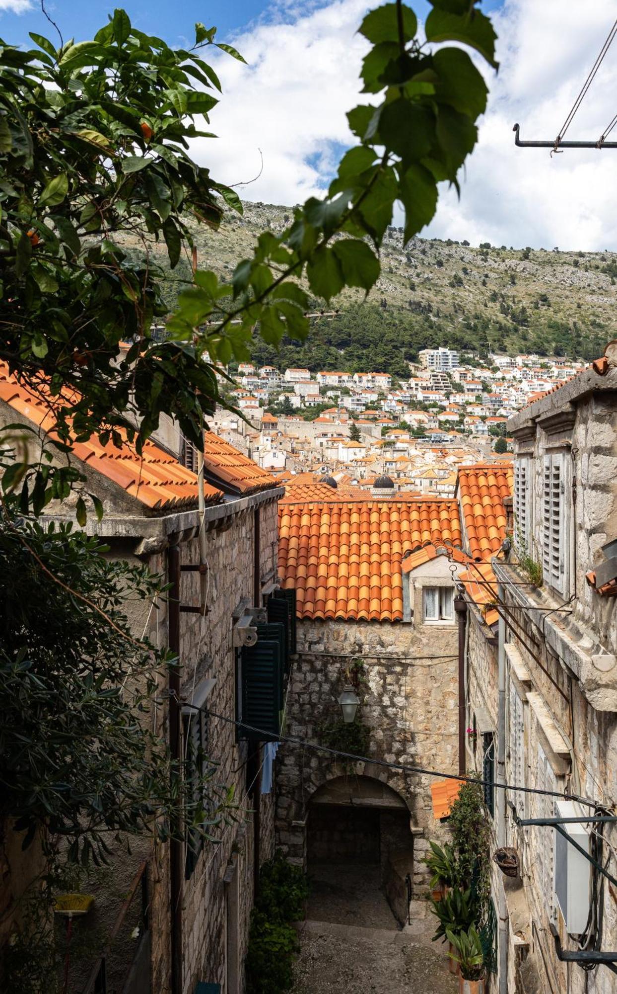 Apartment Taura Dubrovnik Eksteriør billede